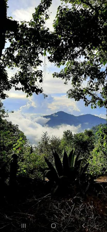 Cabana La Via Lactea El Pacifico ภายนอก รูปภาพ